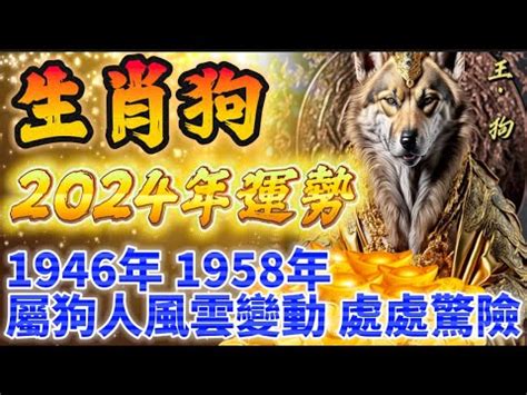 1958生肖配對|【1958年 生肖】【1958年生肖揭曉】屬什麼？五行命運大公開！